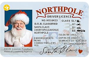 CATHERY Santa Claus Drivers License, Creative Santa Claus Card Flight License, Christmas Ornament Card Xmas Eve Licence for Christmas Tree Decor Gift Box (A-1PCS, 3.37x2.12inch)