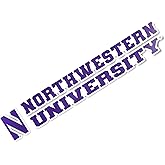 Desert Cactus Northwestern University Wildcats Name Logo Vinyl Decal Laptop Water Bottle Car Scrapbook (8 Inch Sticker)
