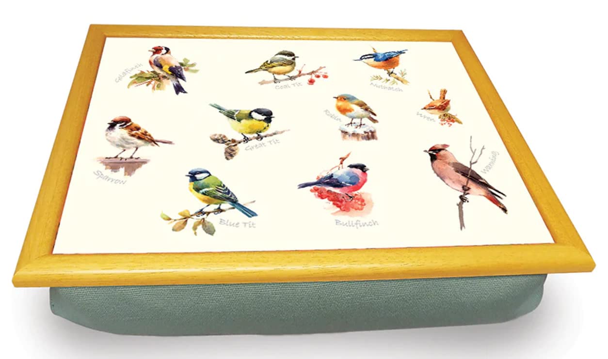 Castle Melamine Multicolor Lap Tray - 41cm x 31cm x 8cm - Ergonomic Lap Cushion