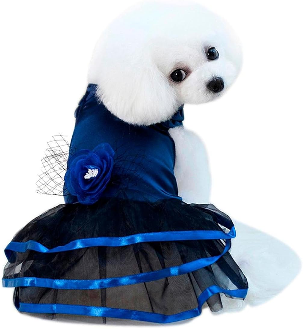 Angelof Vetement Chien/Chat VêTements éTé pour Animaux Chat Chiens