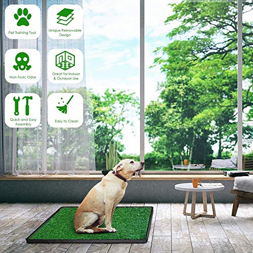 pet time grand dog toilet