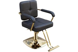 WINEDYOUNG Stylist Chairs for Salon, 360 Degree Rotating Barber Chair Hydraulic Pump Salon Chair, Spa Beauty Equipment for Hair Stylists, Tattoo Artists, Cosmetologists (Gold)