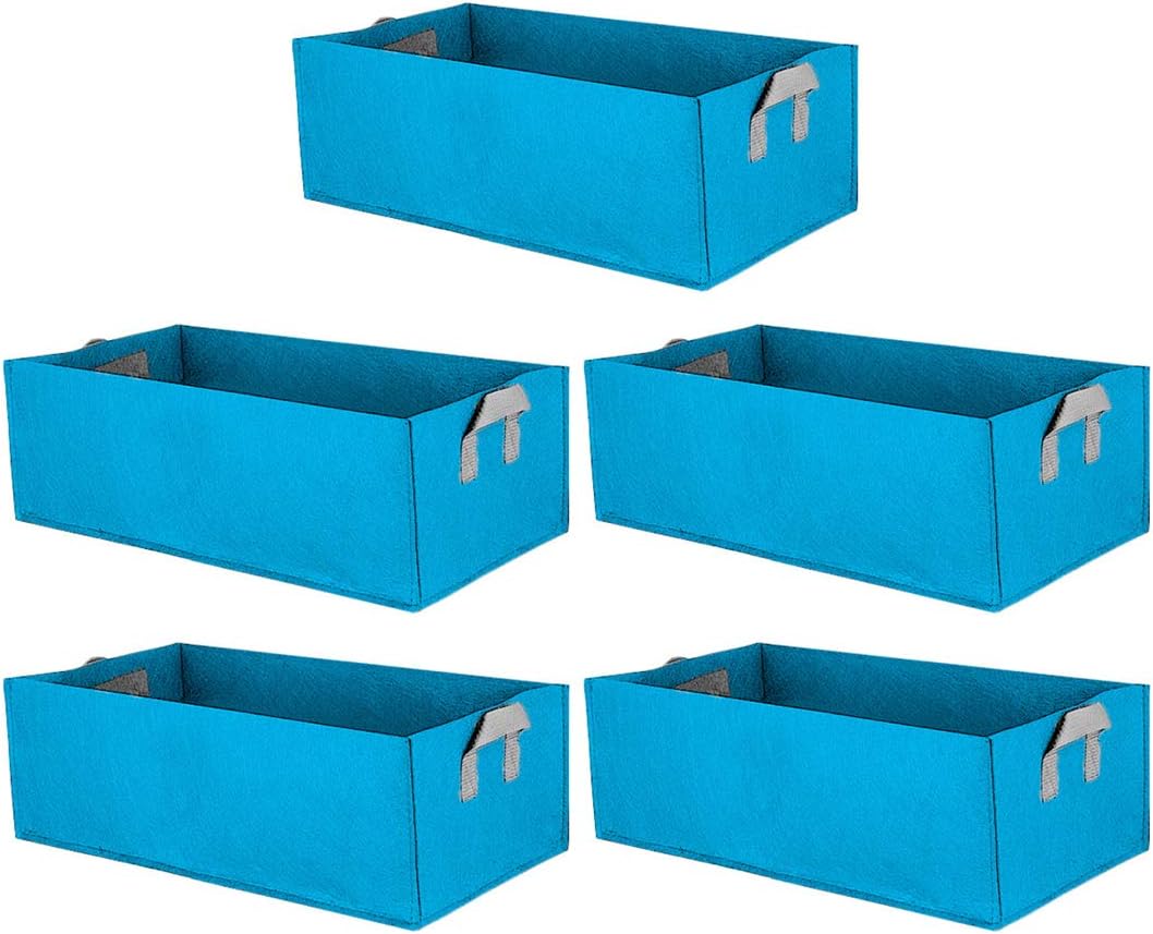 Haoun 5 Pack Fabric Raised Garden Bed,Square Garden Flower Grow Bag Vegetable Planting Bag Planter Pot with Handles for Plants,Flowers,Vegetables - Sky Blue
