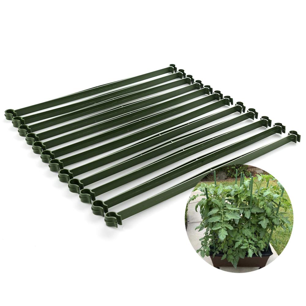 Best Tomato Ladder Cages