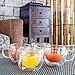 Tealyra - UNIVERSE 8-ounce - Set of 4 - Double Wall Glasses With Handle - Espresso Coffee - Tea - Cappuccino - Clear Cups - Heatproof Insulating - Keeps Beverages Hot - 230ml