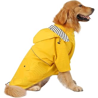 petbarn raincoat