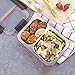 Bento Box 2 Compartments Stainless Steel Lunch Box for Adults and Kids, Portion Control Lunch Containers Leakproof, BPA Free - Watermelon Red