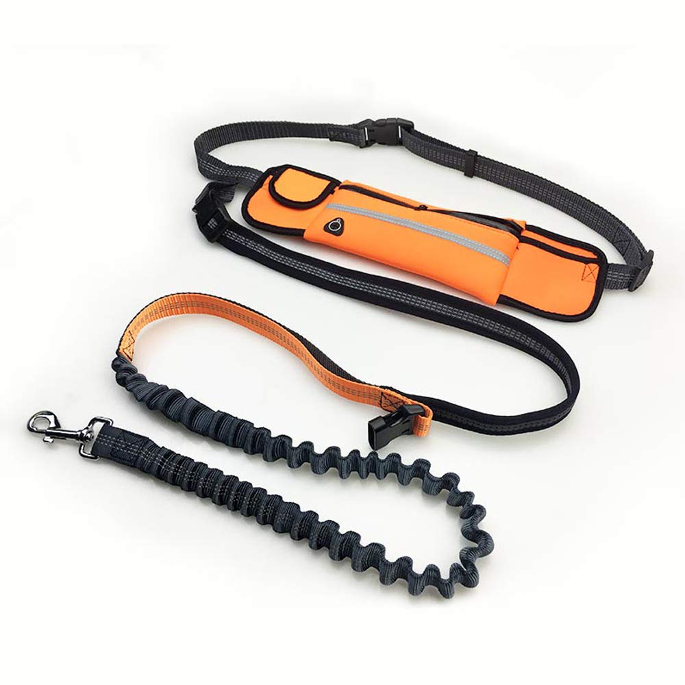 VOANZO Dog Leashes with Waist Pack, Polyester Pet Leash Detachable, Suitable for Sports Running and walking (orange)