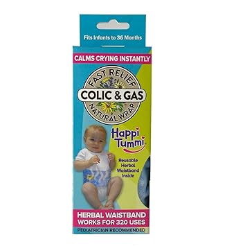 graco gh 433 paint sprayer