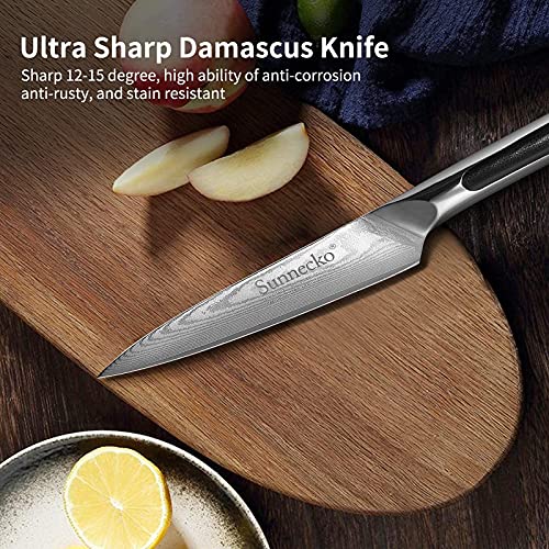 Sunnecko Paring Knife 3.5 Inch, Small Knife Damascus Steel VG-10 Blade Fruit Knife, Peeling Knife with G10 Inlaid Handle Small Kitchen Knife Perfect for Cutting Fruit Vegetables Petty Knife