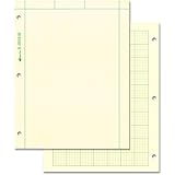 National Brand Computation Pad, Plain on Front Side/5 X 5 Quad on Back Side, 8.5 x 11 Inches, Green Paper, 100 Sheets (42382)
