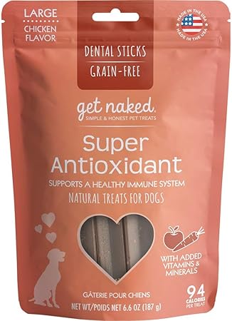 mini australian shepherd shedding