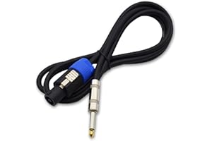 SbE-rsyun 10 ft Speaker Cable 12 Gauge Wire 2 Conductor Speakon with Twist Lock to 1 4 Inch TS Male Compatible with PA DJ Home Audio