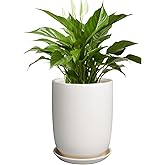 SUNPOTFOR Plant Pot 8 Inch - Ceramic Planter for Indoor Plants Outdoor, Large Plant Pot with Drainage Hole and Saucer, Modern Flower Pot, White