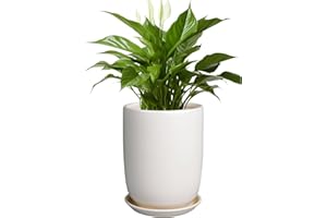 SUNPOTFOR Plant Pot 8 Inch - Ceramic Planter for Indoor Plants Outdoor, Large Plant Pot with Drainage Hole and Saucer, Modern Flower Pot, White