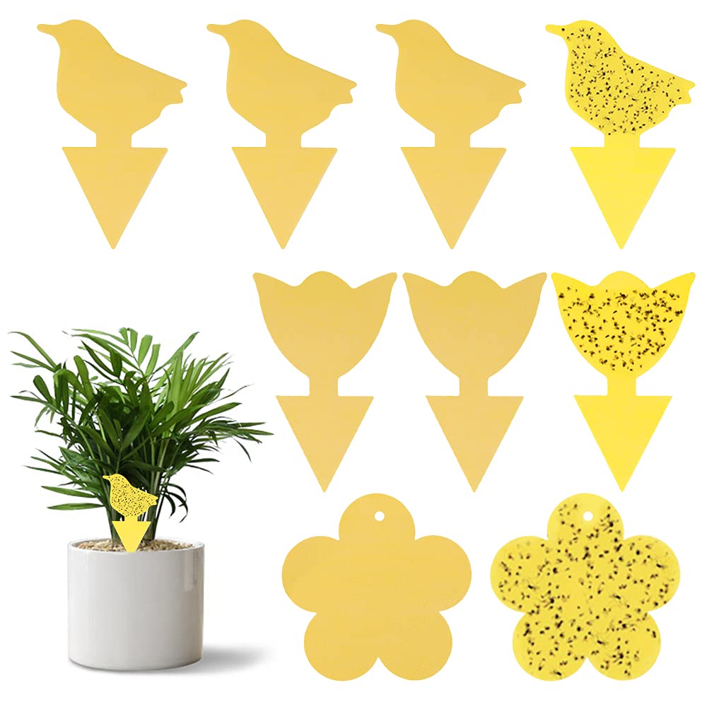 Homo Trends 36 Pcs Fly Trap,Yellow Sticker,Fly Catcher,Fruit Fly Trap,Paper Stickers for Indoor or Outdoor Plant Insect Catcher