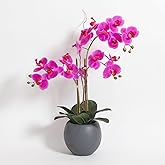 CG Hunter Faux Pink Orchid Plant, Premium Artificial Indoor Flower Display Stands 25-Inches with Beautiful Sculptural Blooms and Foliage That Lasts Forever, Grey Planter Pot Included