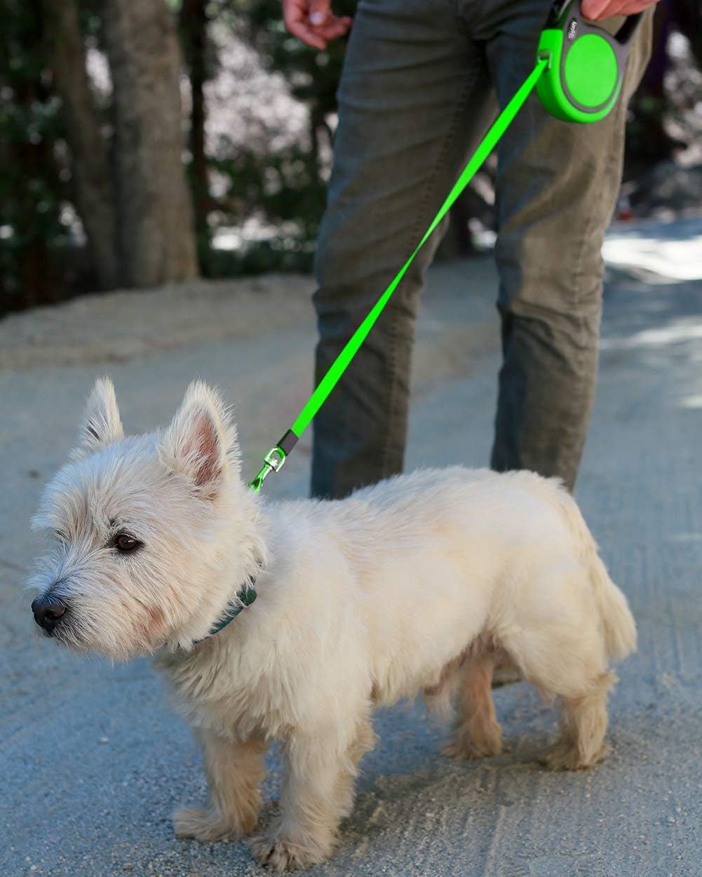 Taglory Retractable Dog Lead 5 m, Extendable Leash No-Tangle Heavy Duty Nylon Tape - Image 3