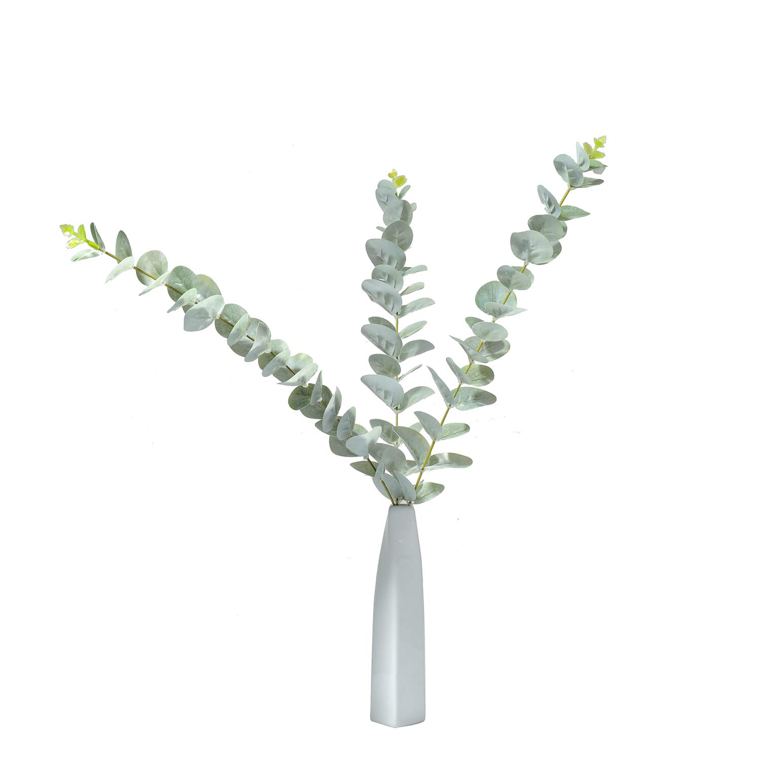 Best Flower Vases For Home Decor