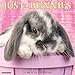 Just Bunnies 2017 Wall Calendar by 