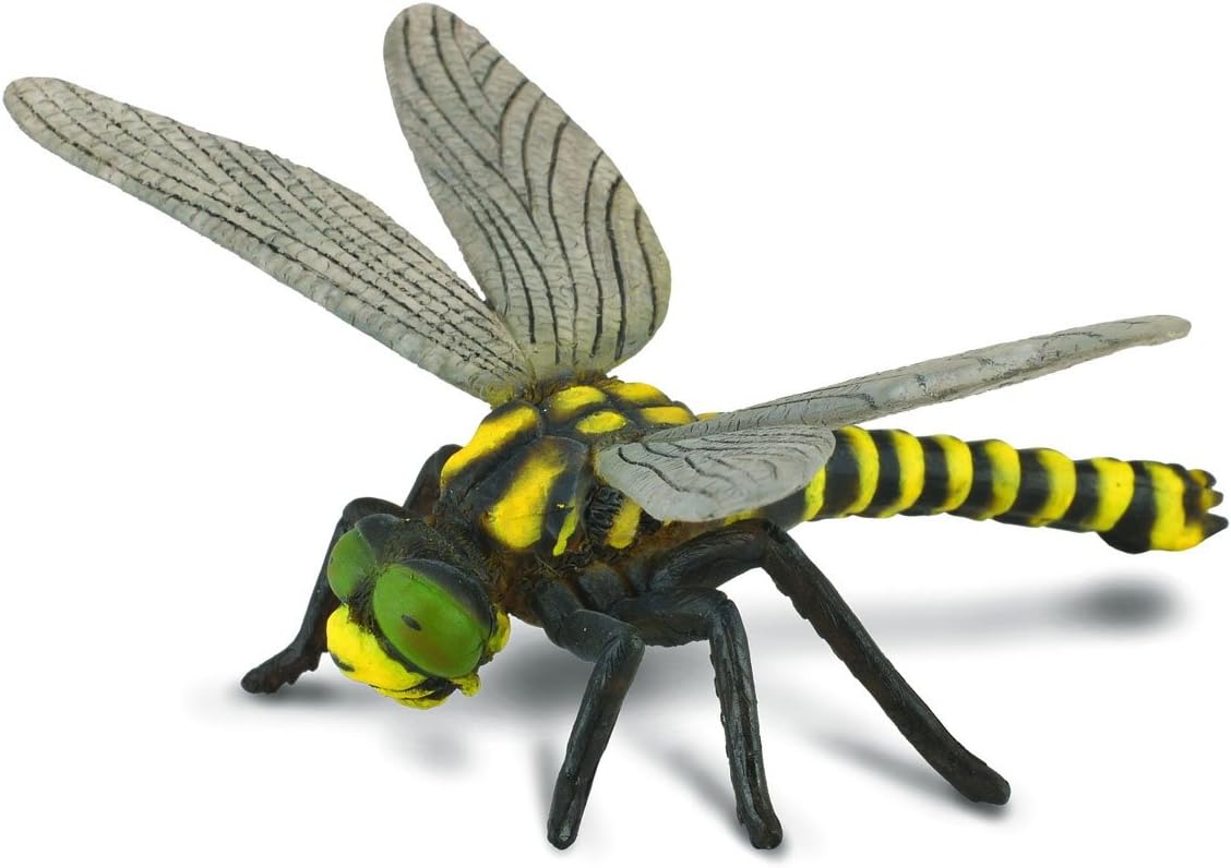 Collecta Insects GoldenRinged Dragonfly Toy Figure Authentic Hand