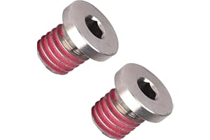 Engine Vacuum Pump Plug Fits for L83 5.3 and L86 6.2 Gen 5 Replaces with #11546665 (2PCS)