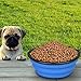 Glendan Large Size Collapsible Dog Bowl, Silicone Pet Travel Bowl for Dog Cat Food & Water, Foldable Expandable Cup Dish for Pet Cat Food Water Feeding Portable Travel Bowl Free Carabiner(L)