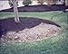 EnviroColor Black Mulch Dye | 32 oz Treats 2400 Ft² Mulch Dye Black, Black Mulch dye for Landscaping, Black Mulch Paint for Garden Beds, Wood Mulch Dye, Permanent Mulch Paint