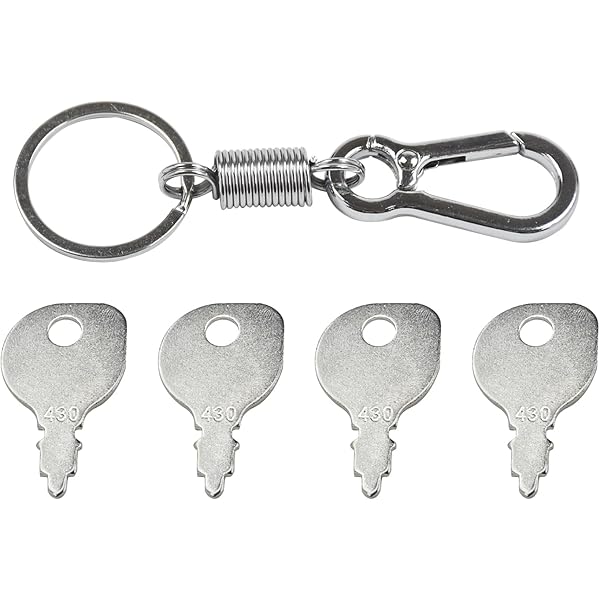 Amazon.com : Mizoneparts 4 X Universal Ignition Key 691959 430-009