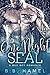 One Night SEAL: A Bad Boy Romance