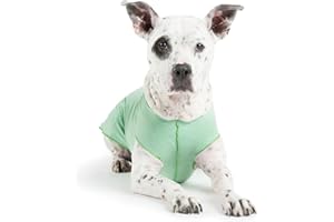 Gold Paw Sun Shield Dog Tee – T-Shirt for Canines – UV Protection, Pet Anxiety Relief, Wound Care – Protects Against Foxtails, Aids Alopecia - Machine Washable, All Season – Size 16 – Pistachio