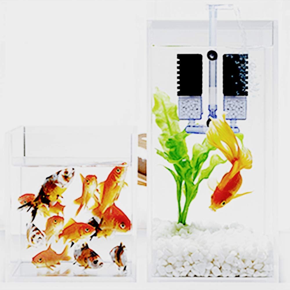 Amazon Boxtech アクアリウムフィルター 超静かなアクアリウムの空気ポンプの生物生化学のスポンジフィルター魚飼育用の水槽の泡フィルター 活性炭スポンジ 双个スポンジ Boxtech ペット用品 通販 Amazon Boxtech アクアリウムフィルター 超静かなアクアリウムの空気ポンプの生物生化学のスポンジフィルター魚飼育用の水槽の泡フィルター 活性炭スポンジ 双个スポンジ Boxtech ペット用品 通販