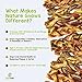 Nature Gnaws Braided Bully Sticks for Dogs - Premium Natural Beef Bones - Long Lasting Dog Chew Treats for Small and Medium Breeds - Rawhide Free - 6 Inch (5 Count)