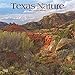 Texas Nature 2020 12 x 12 Inch Monthly Square Wall Calendar with Foil Stamped Cover, USA United Stat by 