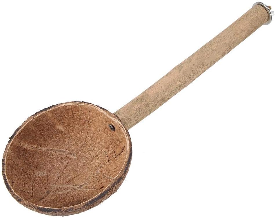 Natural Coconut Shell Feeder with Perches Playground Perch Play Stand Bird Toys for Parrot Conure Lovebirds