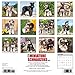 Just Miniature Schnauzers 2017 Wall Calendar (Dog Breed Calendars)