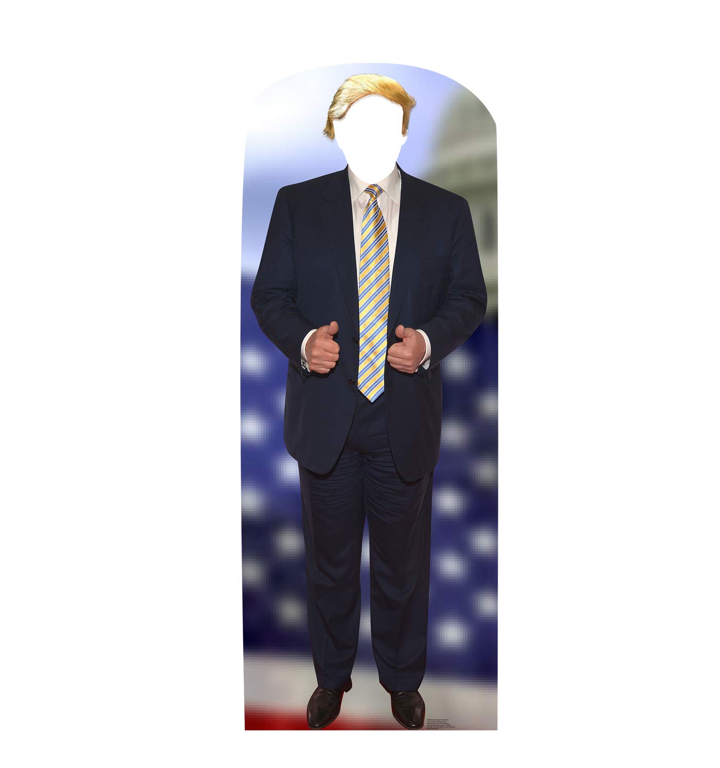 Advanced Graphics Bernie Sanders Life Size Cardboard Cutout Standup Home Decor Kolenik Home Decor Accents