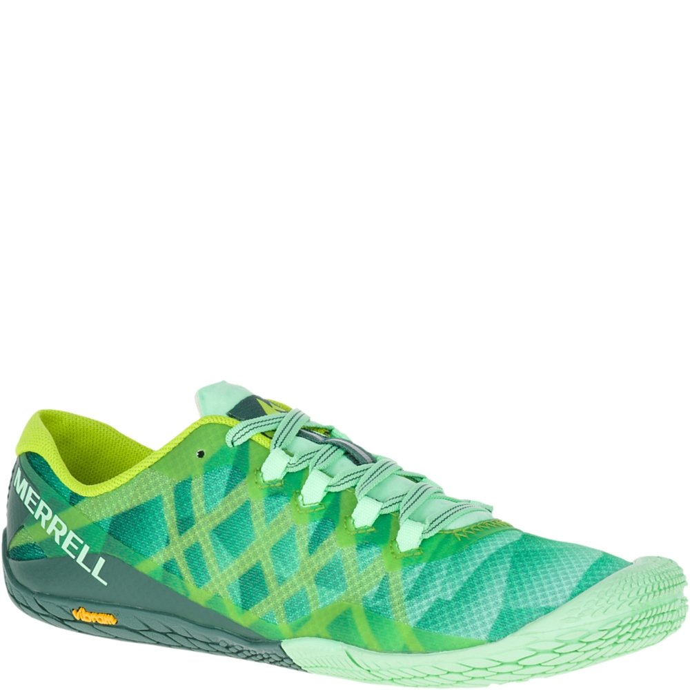 Best Flat Garden Box With Mesh