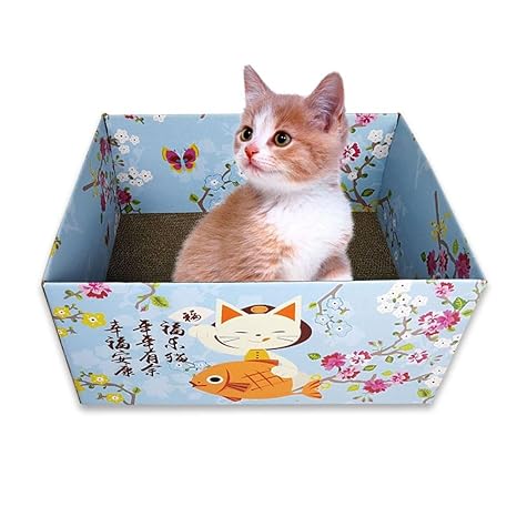 Alfombra gatos | Todo gatos