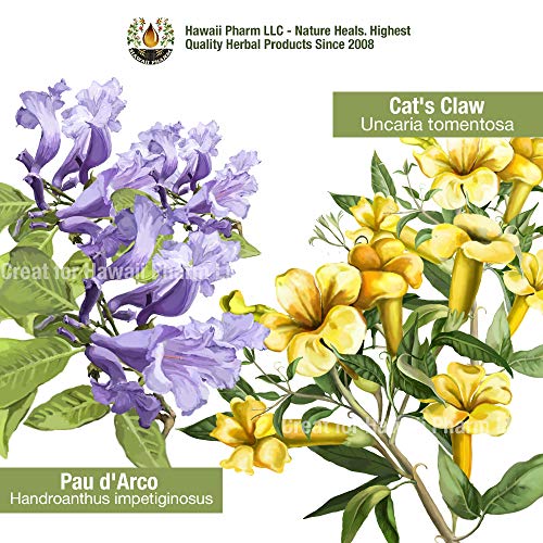 Natural-Immune-Support-Supplement-Tincture-of-Quina-OSHA-Echinacea-Lomatium-Forsythia-Cats-Claw-PAU-dArco-Turmeric-Umckaloabo-Ginseng-Bupleurum-and-Other-Herbs-2-oz