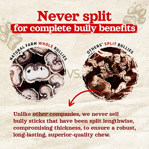 Natural Farm OdorFree Select Bully Sticks, (12Inch, 1Pound), Hand