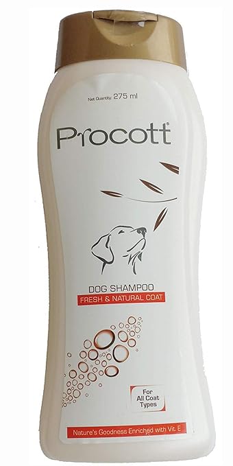 Intas PROCOTT Dog Shampoo 275ml by Jolly and Cutie Pets