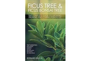 Ficus Tree and Ficus Bonsai Tree. The Complete Guide to Growing, Pruning and Caring for Ficus. Top Varieties: Benjamina, Ginseng, Retusa, Microcarpa, Religiosa all included.