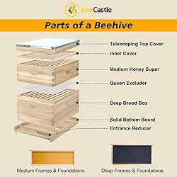BeeCastle 10 Frame Langstroth Bee Hive, Beehive
