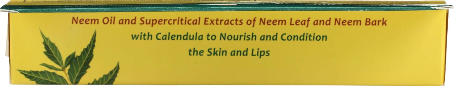 Organix South Triple Neem Ointment Organic Salve, 1 Ounce : Vitamins : Beauty