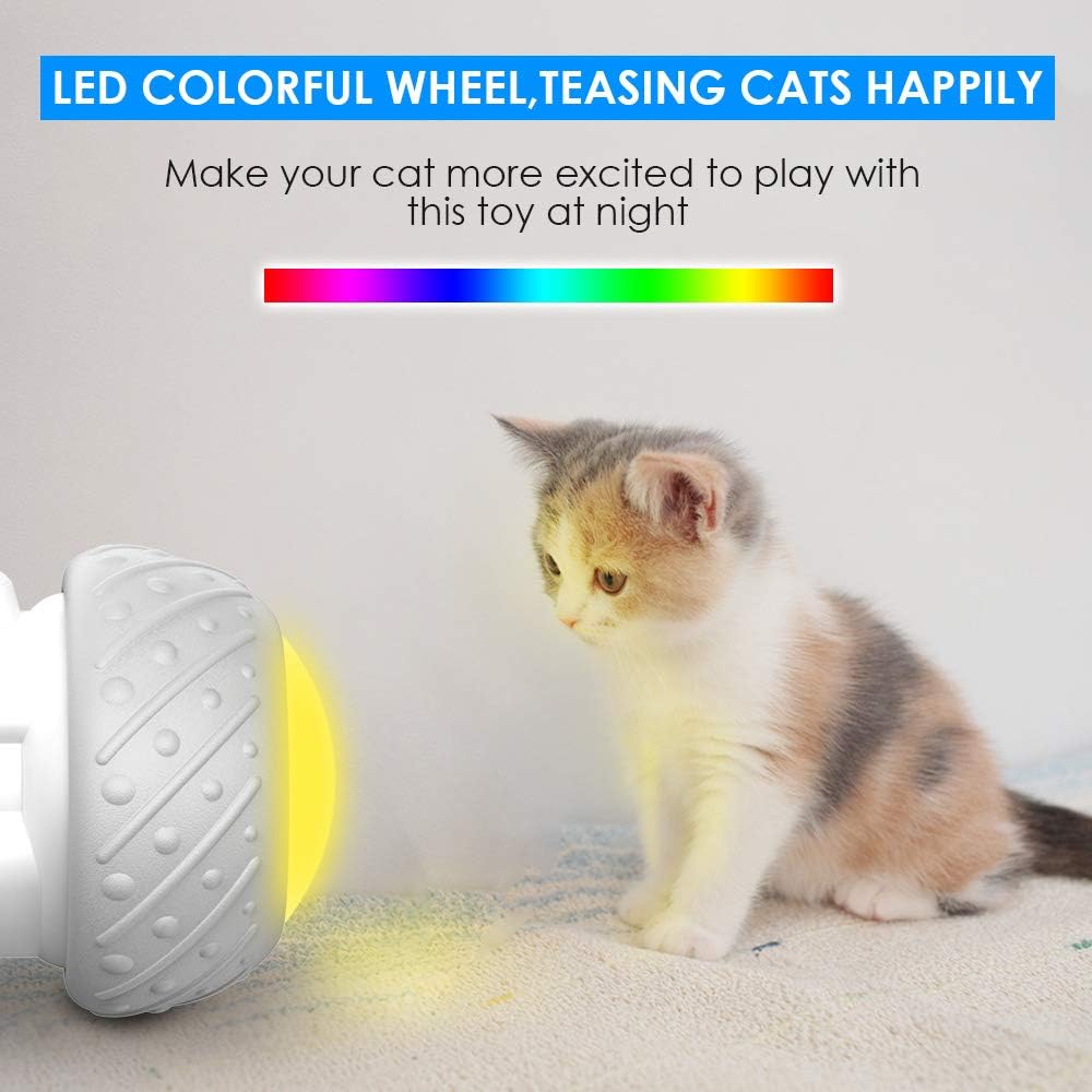 k-berho Remote Control/Robotic Cat Toys Interactive, Cat Toys for Indoor with Feather, Color Ribbon, Butterfly, Automatic Cat Toy with Irregular USB Charging 360 Degree Self Rotating Ball : Pet Supplies