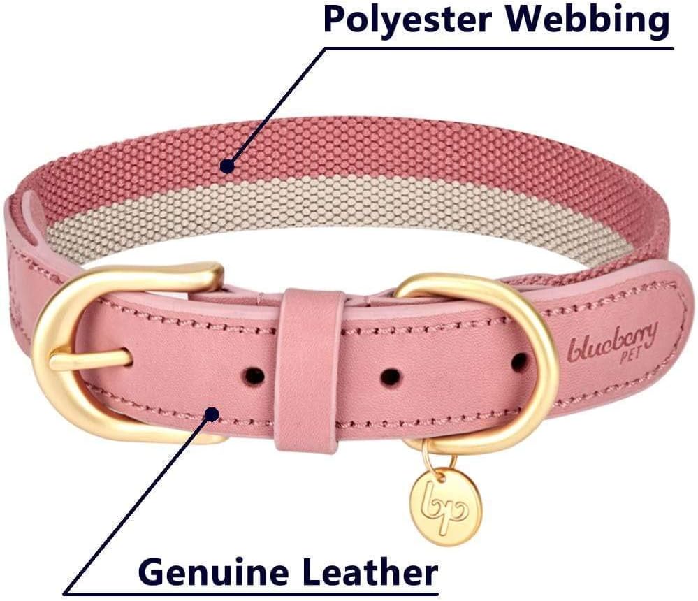 whelping collars petsmart