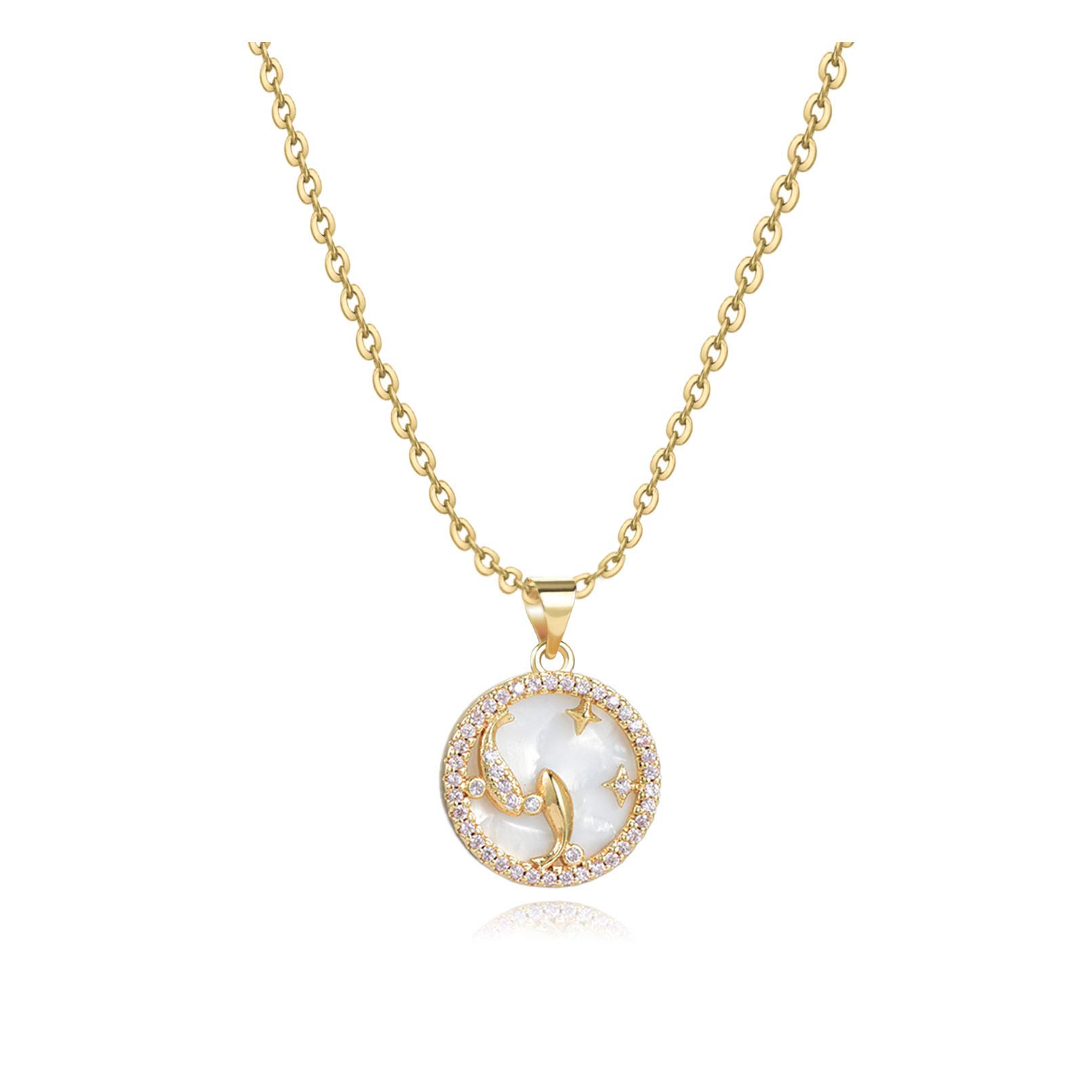 SBI Jewelry Sparkling Zodiac Pink Pisces Gold Necklace for Women Fish Sign February March Birthday Aunt Birthstone Family Christmas