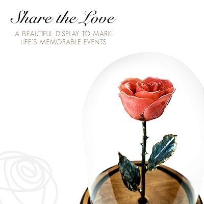 Buy Forever Rose Usa Brand The Beauty And The Beast Rose Enchanted Rose This Is A Real Rose Pink Online In Panama B01nbyq86l
