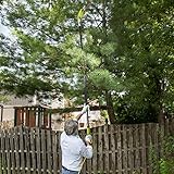 Sun Joe SWJ803E 10 inch 8.0 Amp Electric Multi-Angle Pole Chain Saw, Green